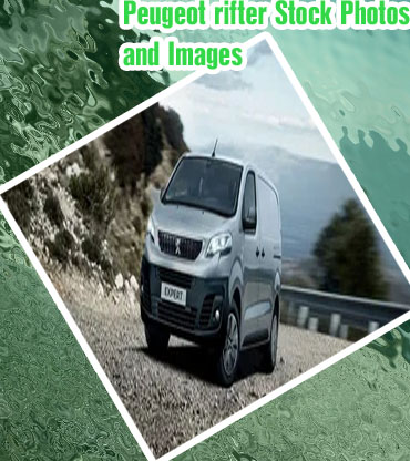 Peugeot 4x4 2021